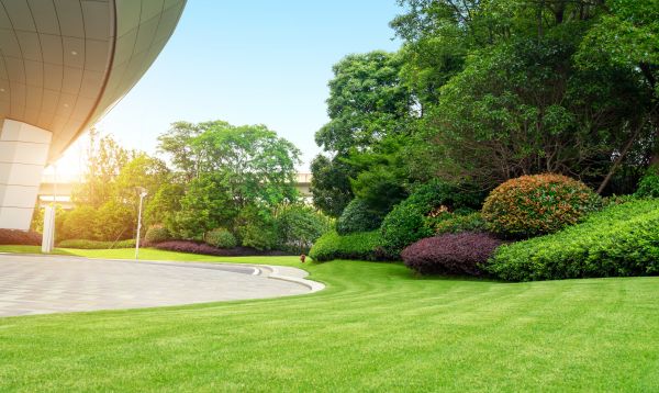 Cost of Commercial Lawn Mowing in Stamford