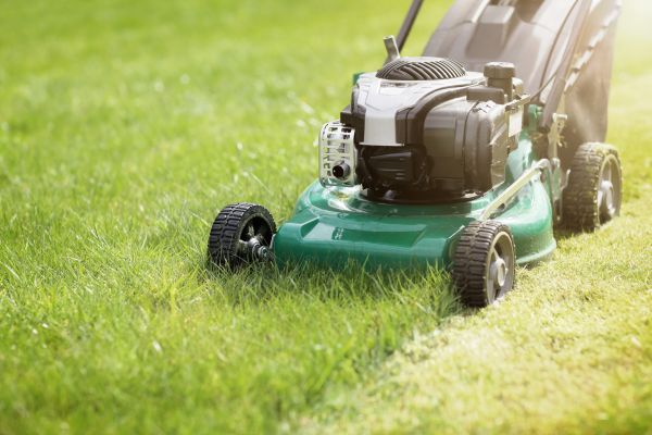 Cost of Yard Cutting in Stamford