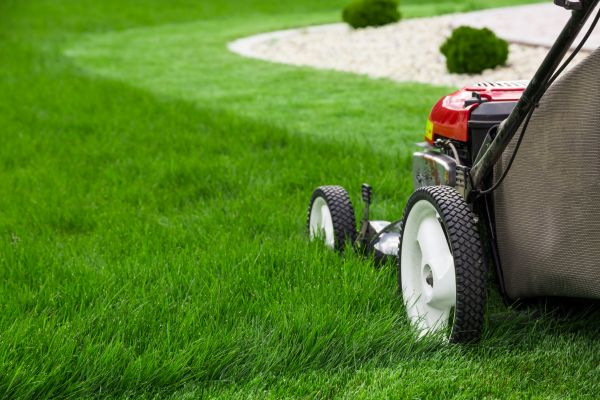 Yard Maintenance in Stamford
