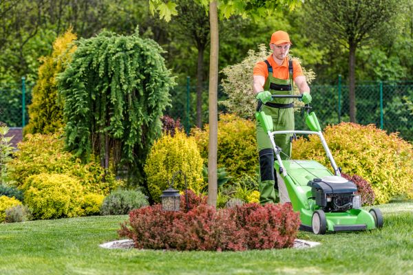 Cost of Yard Service in Stamford