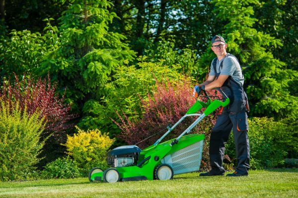 Cost of Yard Work Service in Stamford