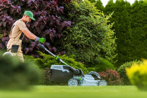Cost of Lawn Management in Stamford