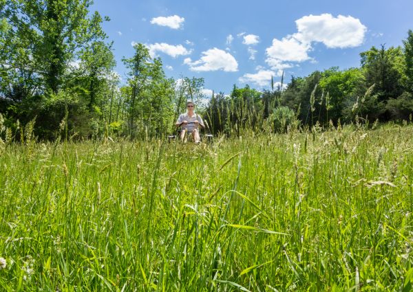 Long Grass Mowing in Stamford