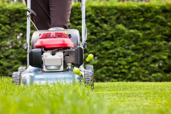 Grass Trimming Service in Stamford