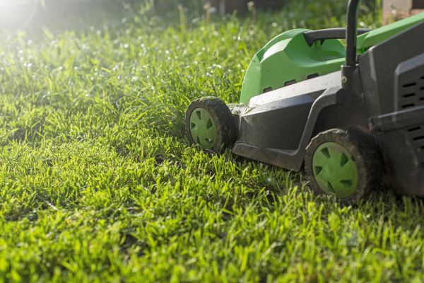 Cost of Yard Trimming in Stamford