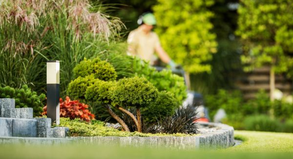 Residential Yard Maintenance in Stamford
