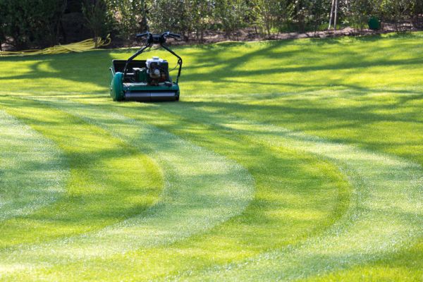 Cost of Business Lawn Mowing in Stamford