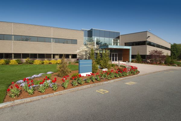 Cost of Commercial Groundskeeping in Stamford