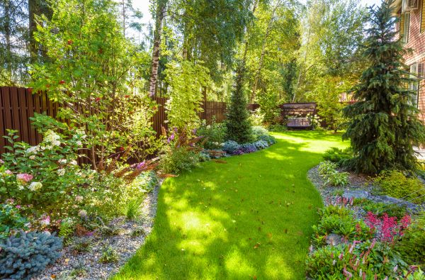 Spring Yard Maintenance in Stamford