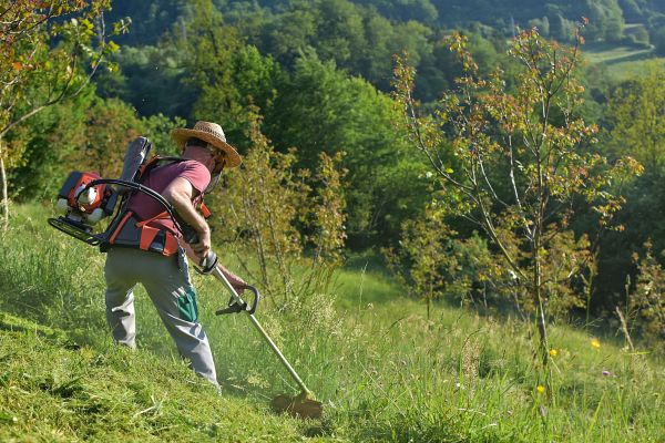 Slope Mowing in Stamford