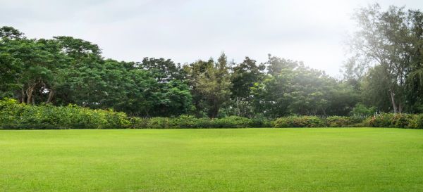 Cost of Golf Course Mowing in Stamford