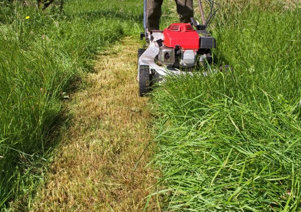 Cost of Leaf Mowing in Stamford