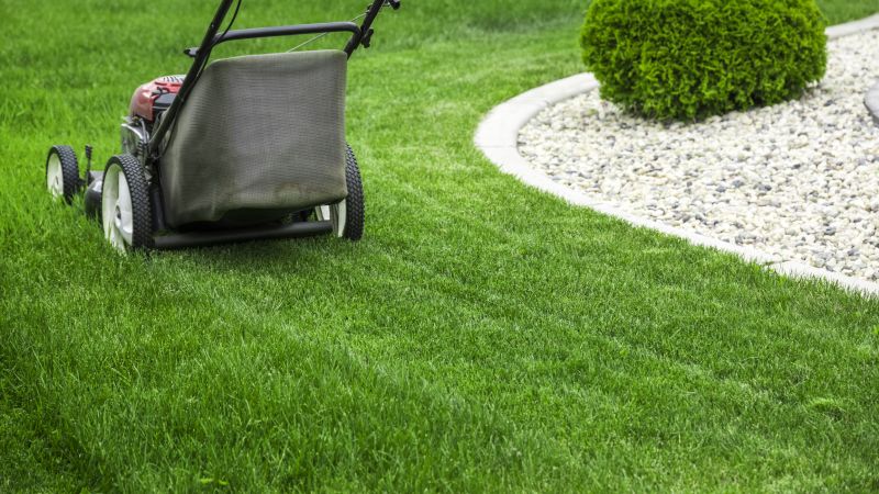 Trimmed Grass Edges