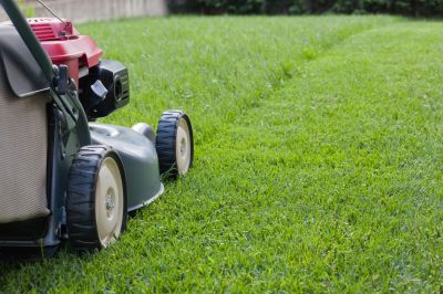 Winter Mowing Tips